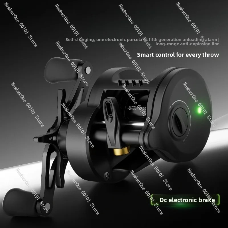 Electronic Magnetic Brake Fish – Electric Reel Bewertung und Preis