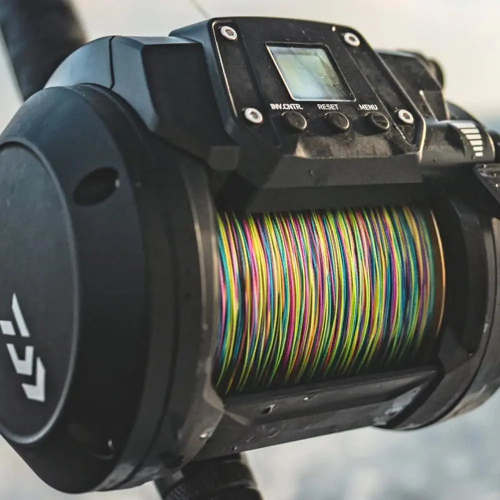 Black Daiwa TANACOM1000 Dendoh – Conventional Reel Bewertung und Preis